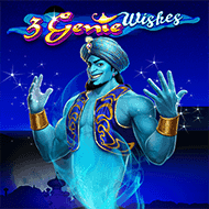 3 Genie Wishes