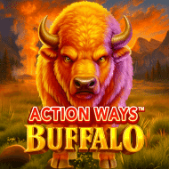 Action Ways Buffalo