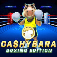 Cashybara Boxing Edition