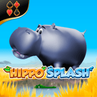Hippo Splash